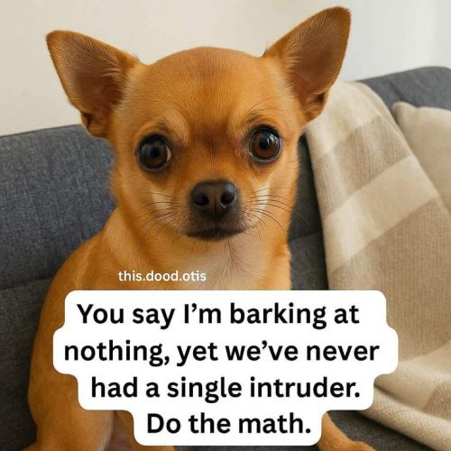 0528e5fdd3803dcbbd035bbb61589ce7