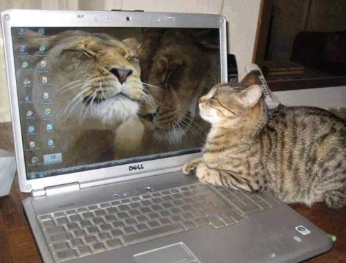 Screenshot_20260124_081635_Gallery