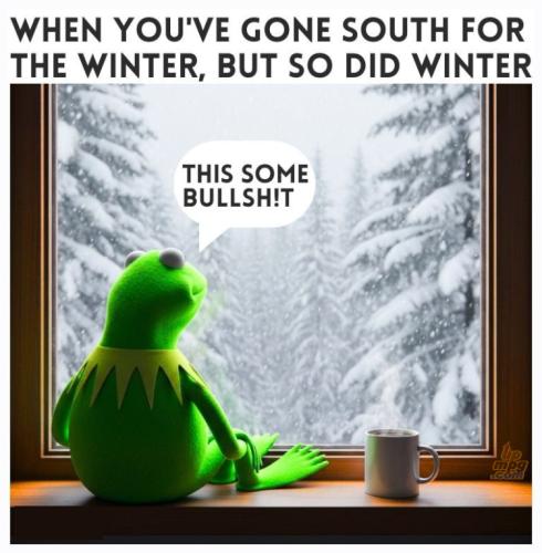 main-qimg-bb9fd28c31fdaaea22b3c40ce06200ff