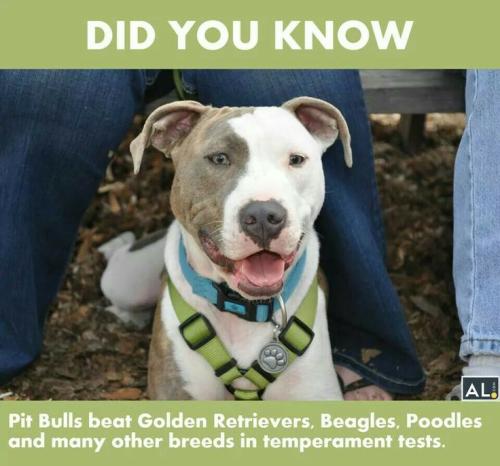 67014001248e506d9cb2a674f0d7dafd