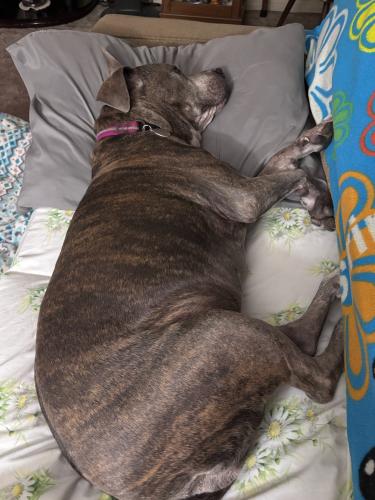 A102F4EA-15EB-4674-9941-2A3C3C46859F