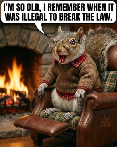 main-qimg-dd829b602c676e6f8d738a5d40e690c3