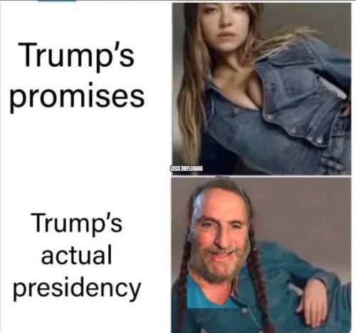 049830c3aff4c836a7ad6f1b8c82fddd