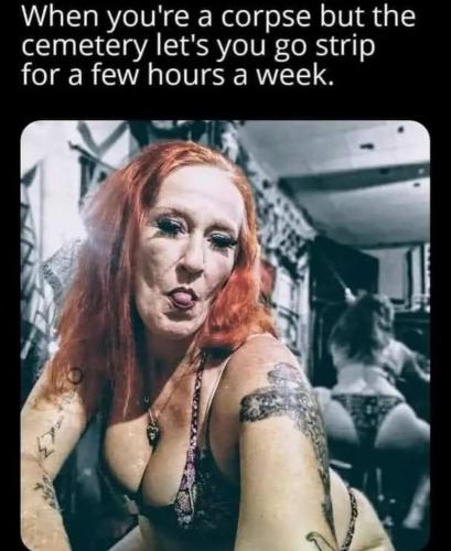 image_B2B2E842-9056-47D4-B343-B39CC80A3241