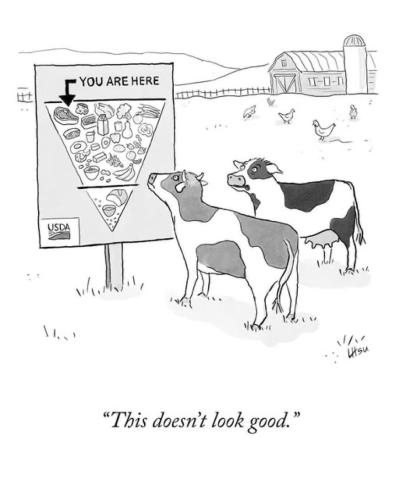 02c89d8f-5037-4c58-8d94-0ccd4badb8fc