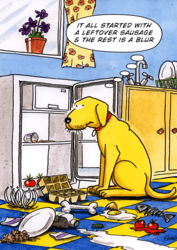 birthday-cardrainbow-cardsall-started-with-a-leftover-sausage-813014