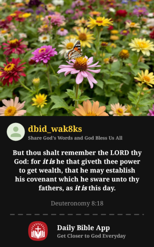 2025-12-311767227212360