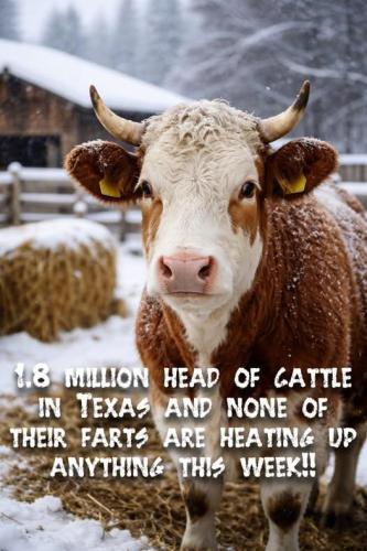 image_FE6081C1-B26C-4DF9-A3E6-215AAE68F670