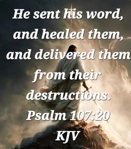 bc6ed59d-5e99-4272-80d4-bbbebf039161