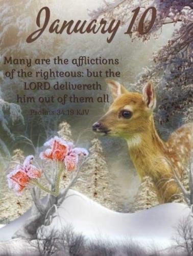 612495395_18037911686743683_1727206064964051240_n