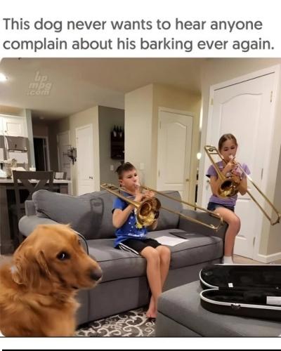 main-qimg-cc74c58244c0b6596ac9c386e38f8748