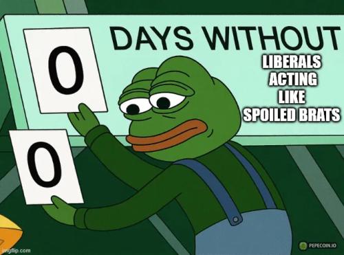 day-without-liberals-acting-like-brats