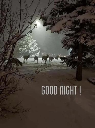 ccf999920a44adb1edcce00fd12cdb84