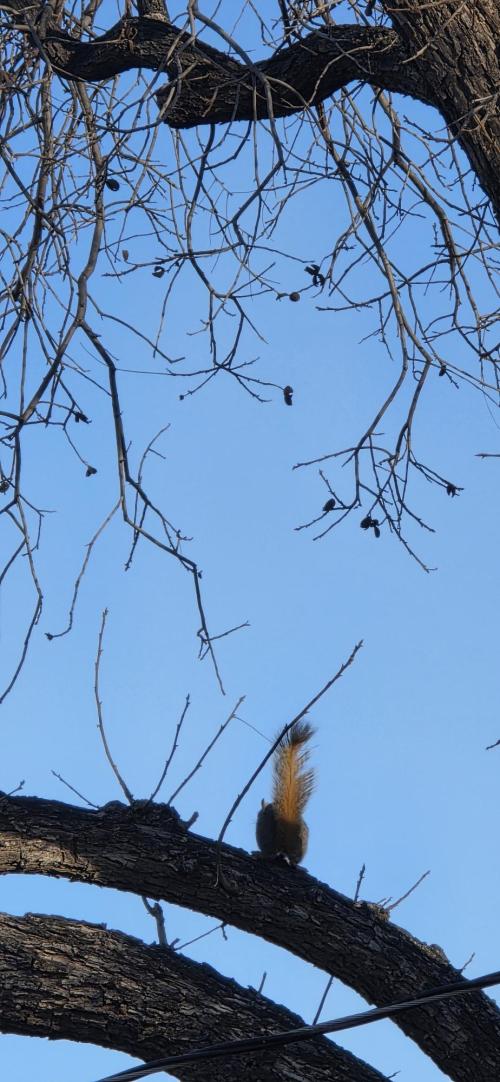 1474edbb-a7ff-4d42-a31a-9ed941c7e187