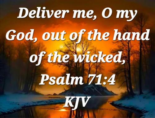 e97f3588-cc92-44ed-8bc1-4f05118b627f