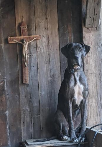 2e3917dc-e58e-41a4-92fa-1e9f3bec54bd