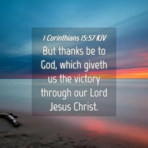 ba4873ad-cfcb-48c7-816b-f784426a77b2