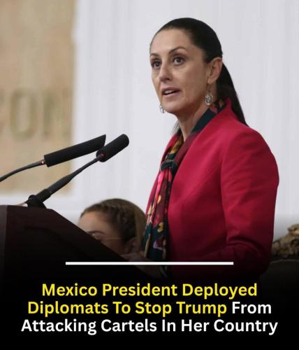 82fb3fac-2833-4744-ba5b-9261b7b0141f