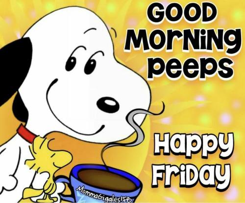 68d0628e850ebd9fbd9b57f25a97bd1b