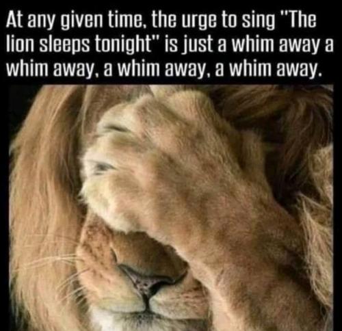 Screenshot_20260106_095514_Gallery