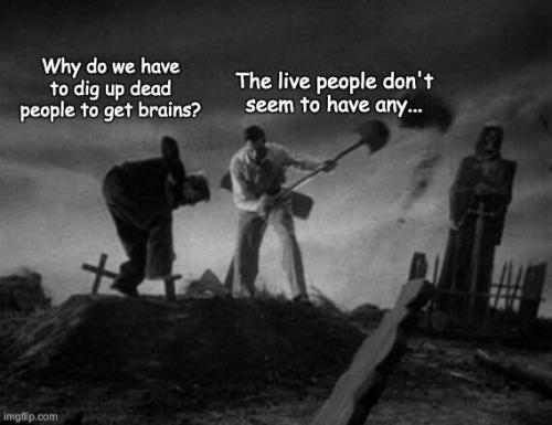 image_31BC92E7-E1DF-4A42-9C2D-6B3CB7AC4B49