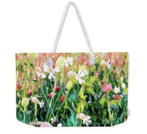 Screenshot_20260113_135102_Brave