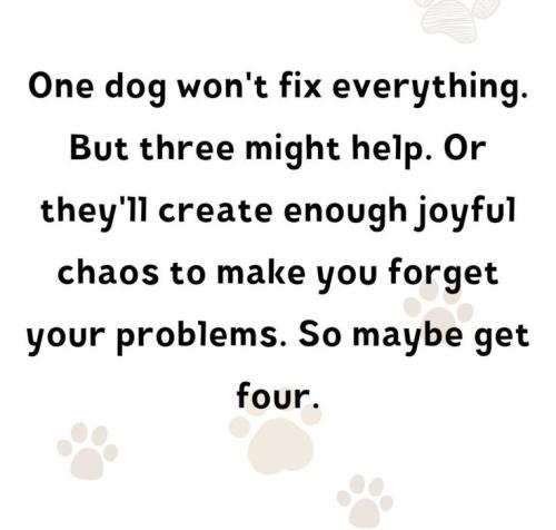 572f3ebc7111c5e081af9cb547afe5eb