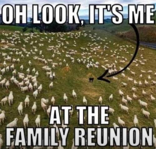 ada177a8-f531-4fa3-9197-05136820c704