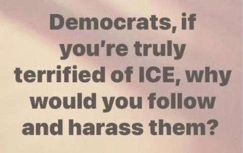 if-terrified-why-follow-and-harass