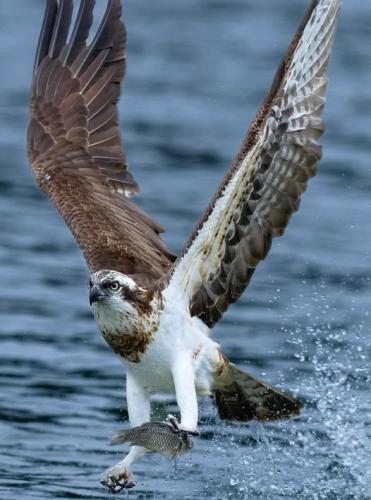 613040571_3282955788542261_5974496219419198960_n