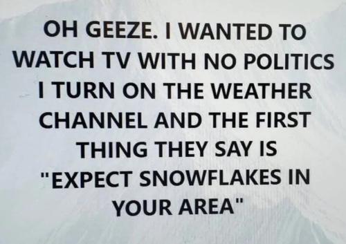 wanted-to-watch-no-politics