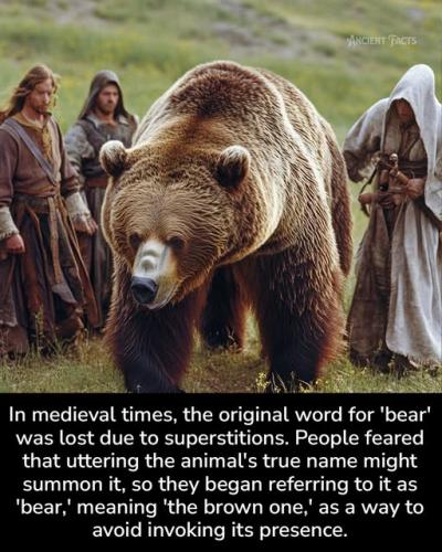 612014696_122206424960315258_1354207257842038532_n