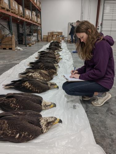 611263425_1163734005828297_6464679960725667118_n