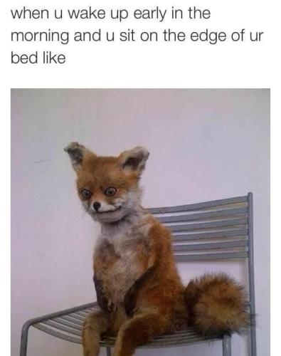 FB_IMG_1768792037538