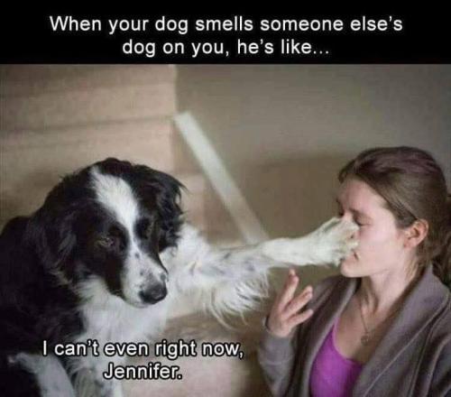 94e7a697411e82b991dda9df7cb902a0