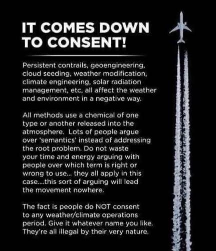 FB_IMG_1768413630099