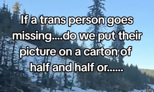 trans-person-half'n'half