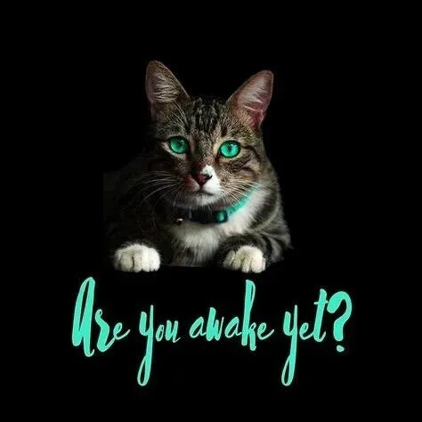 TESTHUB_photos_users_KPBY8Tc46ldqLjWXf6bqxqOW3AR2_-OjO5KxfHOooDDmOKxyS_img_rsz__1100x1100