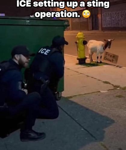 18ab9eff-4551-464f-b016-9f0b6ab16f65