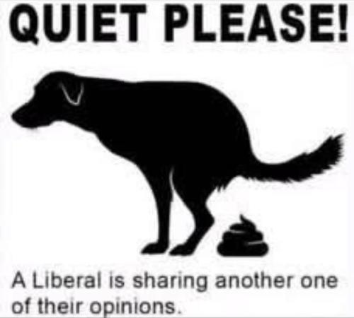 b86cda60-8ebf-4213-a3bf-9346f9c8029e