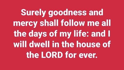 463fa3a4-6cda-4a46-b041-283483159888