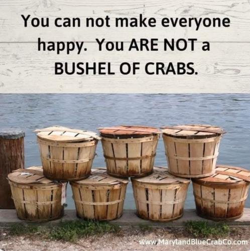 Screenshot_20260128_115251_Gallery