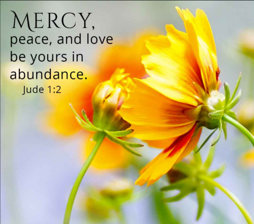 Screenshot_20260118-181641-036