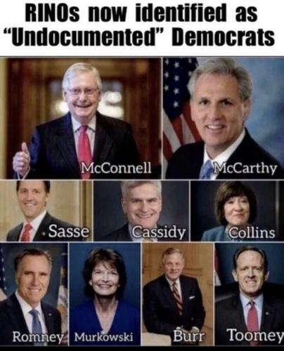 They work for enemy and are fake REPUBLICANS.  THEY'RE DEMONIC-RATS PUPPETS