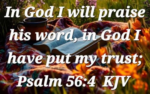 19c53ab2-30d0-417d-ac05-1693fc4da942