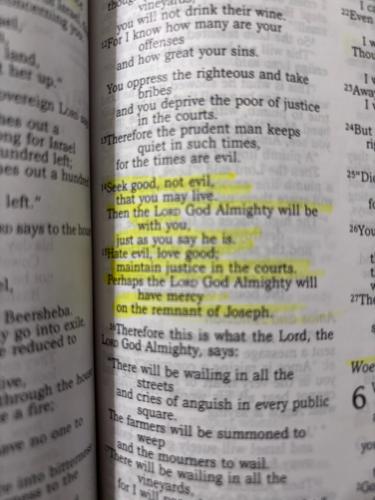 335308F8-100E-479D-BB5F-8F9B19CCE4DB