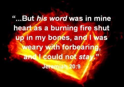 a7d43ace-eac3-4d1b-a707-ba1c11fd95e2