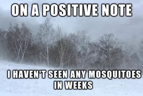 ebc0be3757fd268c152bd60361dac4db