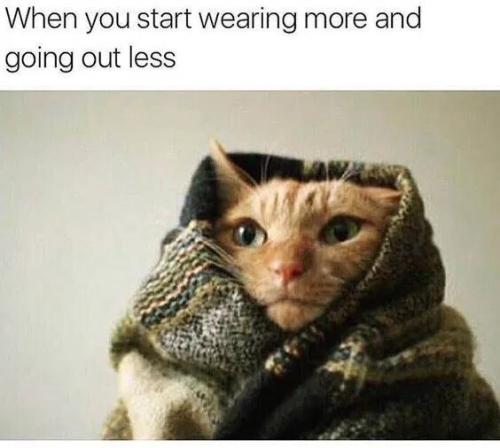 df3e5cc9ef03564f006bfa5ba067e776