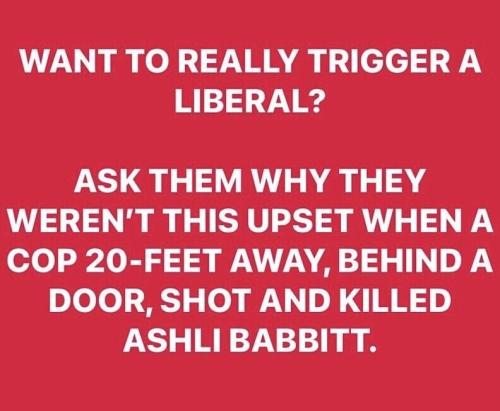 afb0bdeb-492b-472c-bfa4-e619cc0250da